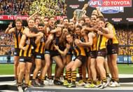 2013 Grand Final - Hawthorn v Fremantle